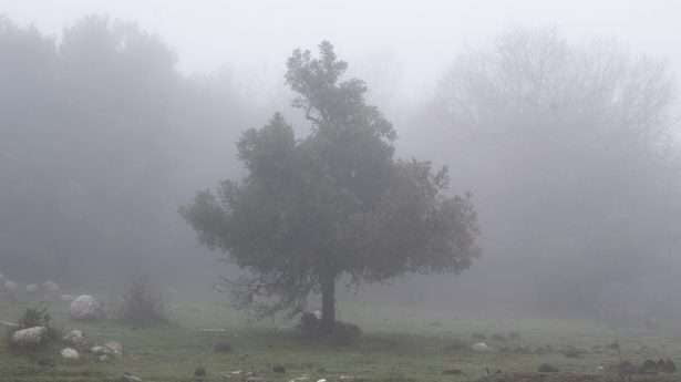 Zware mist op de Golanhoogten, 15 januari.