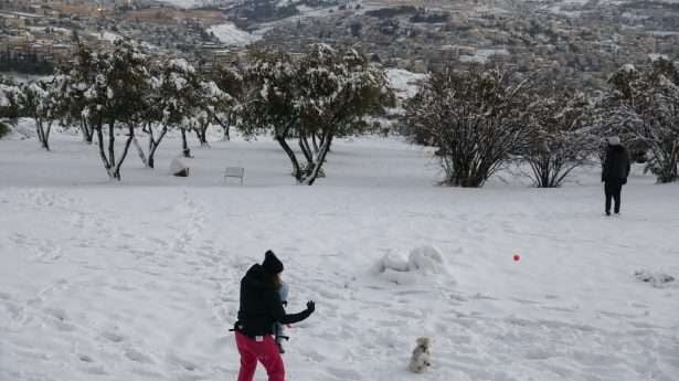 Sneeuw in Jeruzalem leidt ons voor korte tijd af van onze alledaagse problemen.