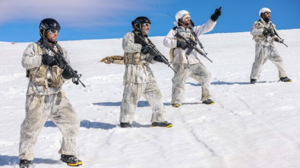 De Alpinisten zijn een reserve infanterie eenheid die gespecialiseerd is in berg en sneeuw oorlogsvoering.
