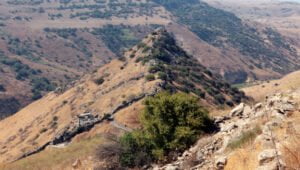 De slag bij Gamla - Foto: Shutterstock