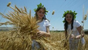 Het land bloeit op als het volk thuis is - Foto: Haim Azulay / Flash90