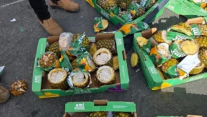 Sigaretten verstopt in ananas: poging tot smokkel van Israël naar Gaza